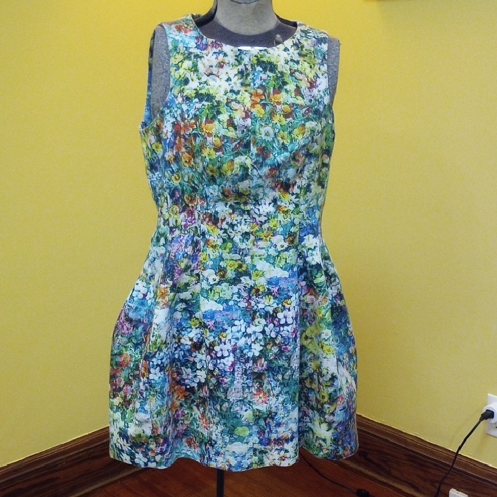 Zara Floral Bubble Skirt Mini Dress
